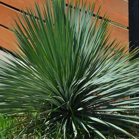 Апартаменты Zephyr Luxe Sea And Mountain View Sgourou