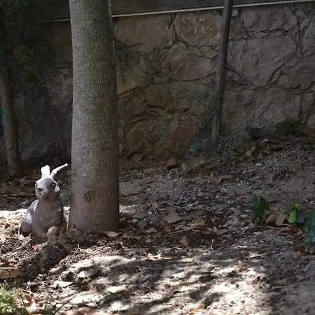 Zephyr Luxe Sea And Mountain View