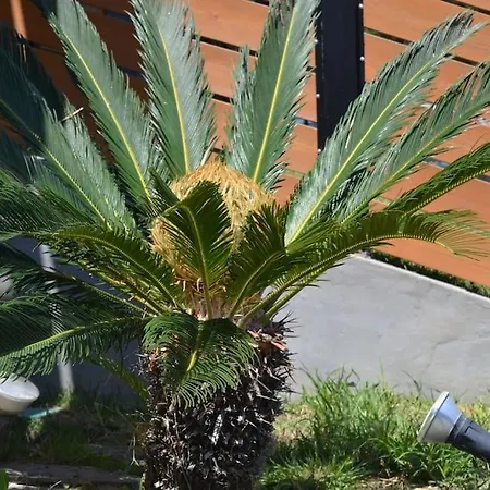 Zephyr Luxe Sea And Mountain View